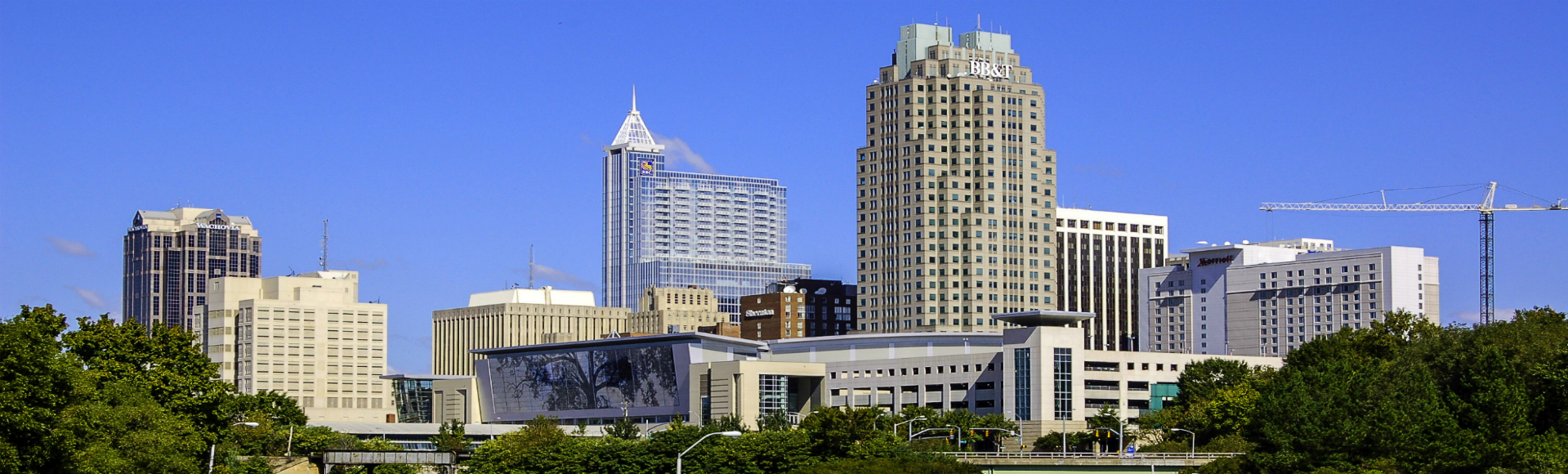 Raleigh Auto Repair Real World Automotive